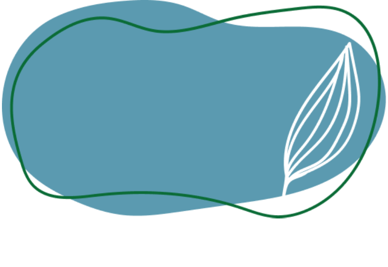 Background Image Decoration 5