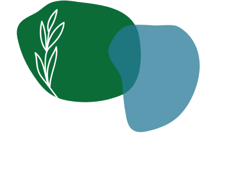 Background Image Decoration 1